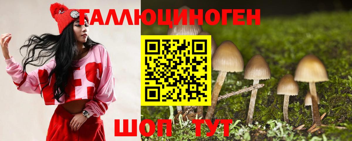 Псилоцибиновые грибы MAGIC MUSHROOMS Сокол